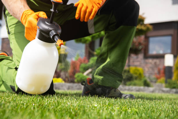 Best Emergency Pest Control  in Loretto, TN