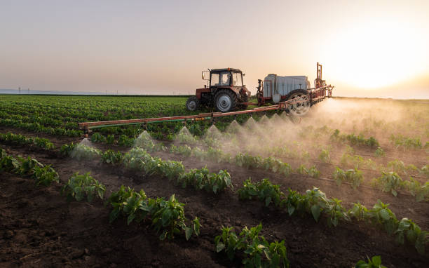 Professional Pest Control in Loretto, TN