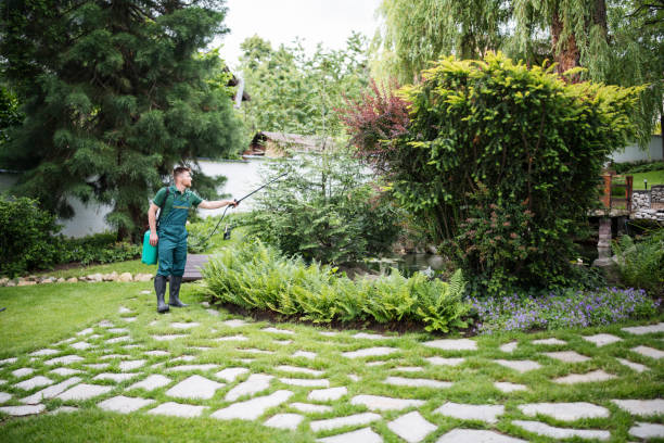 Best Affordable Pest Control Services  in Loretto, TN
