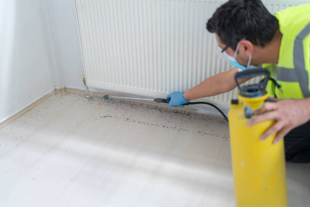 Best Best Pest Control Companies  in Loretto, TN